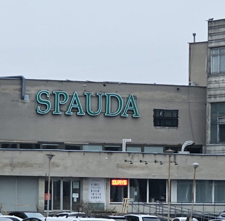 Vilniaus gimtadienis aktyviai 1